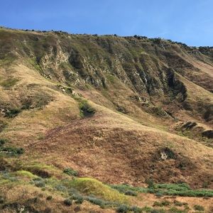 Meet your Posher, Yul